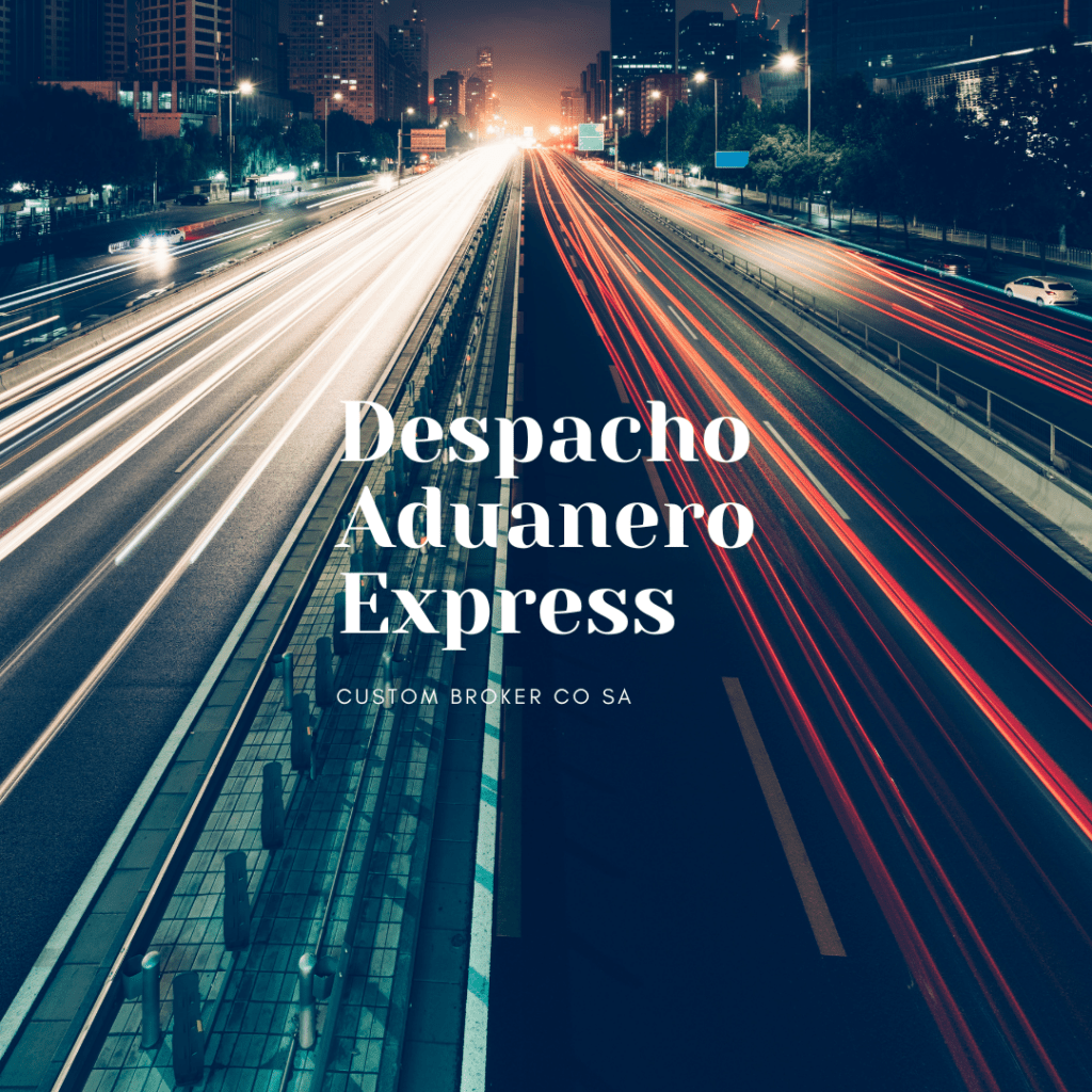 Despacho Aduanero Express